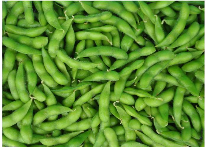 毛豆冷庫(kù)