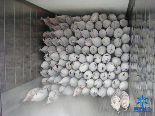 金槍魚冷庫(kù)