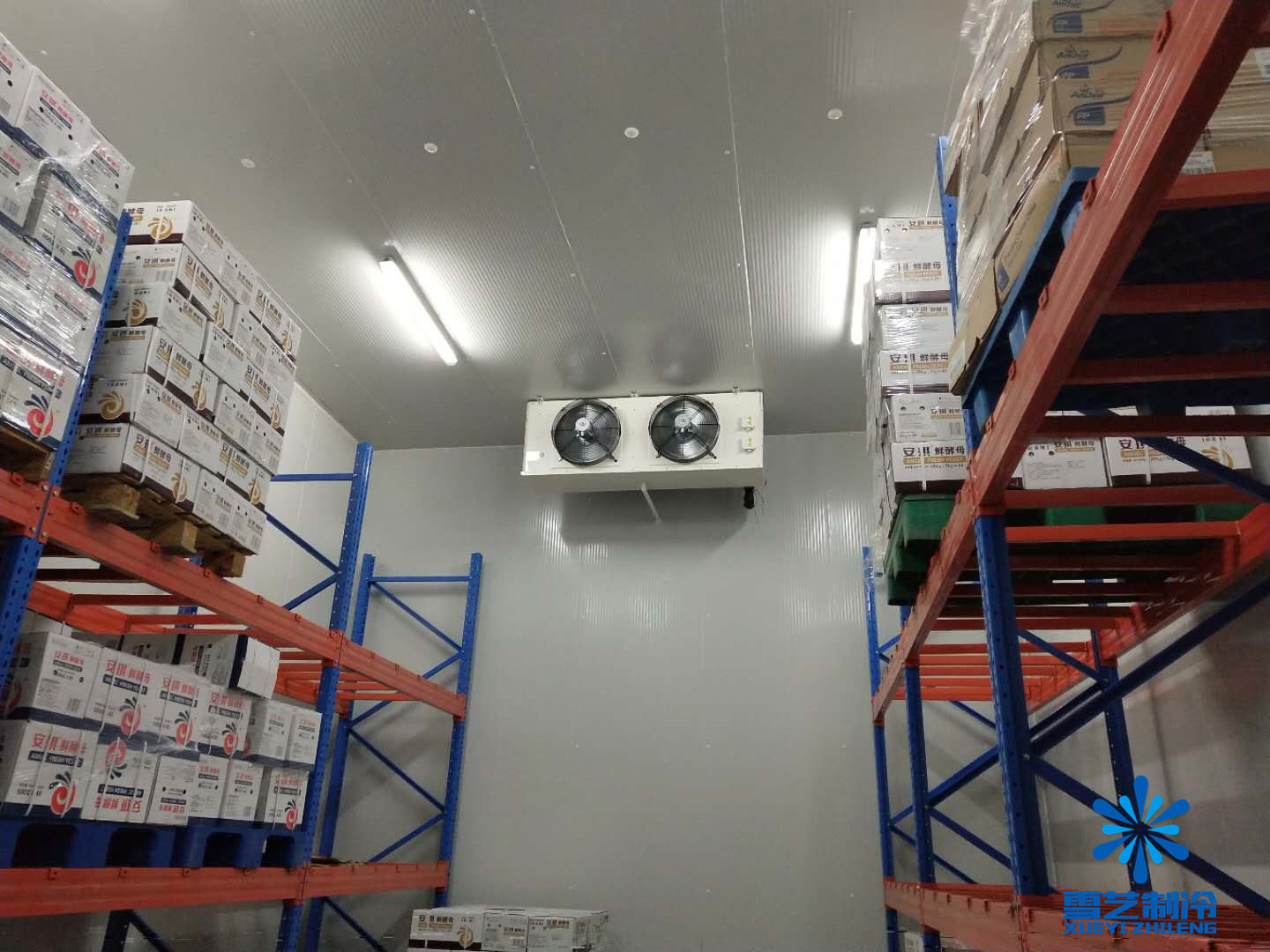 酵母冷庫，雪藝制冷建造