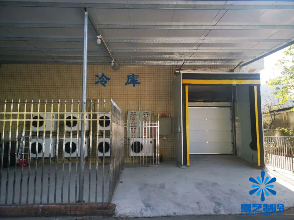 上海崇明大型冷庫(kù)安裝 (2).jpg