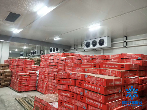 食品冷庫(kù)找上海雪藝制冷建造