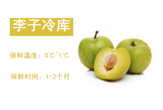 李子冷庫(kù)